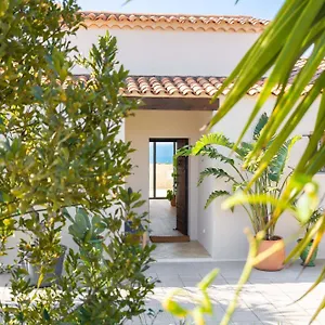 Les Cactus Bleus Sausset-les-Pins